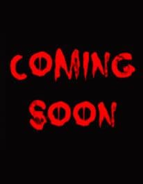 Wholesale Coming Soon - trade fancy dress