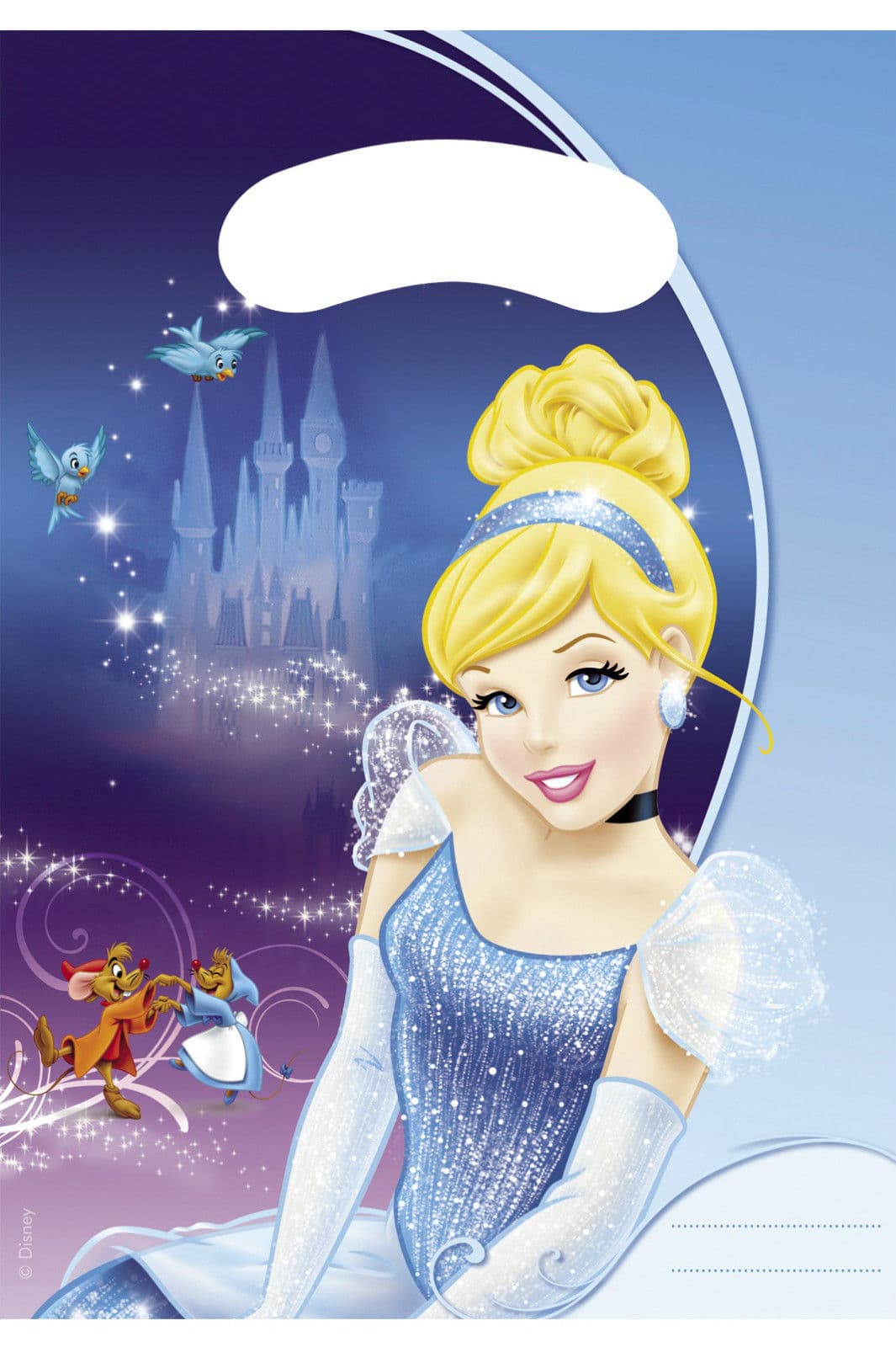 Cinderella Party Bags (Pack of 6)