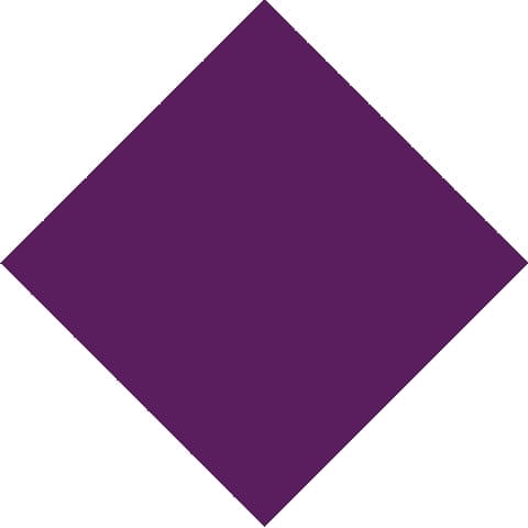 Purple Cotton Bandana