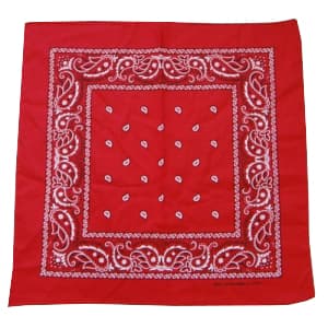 Red Paisley Bandana