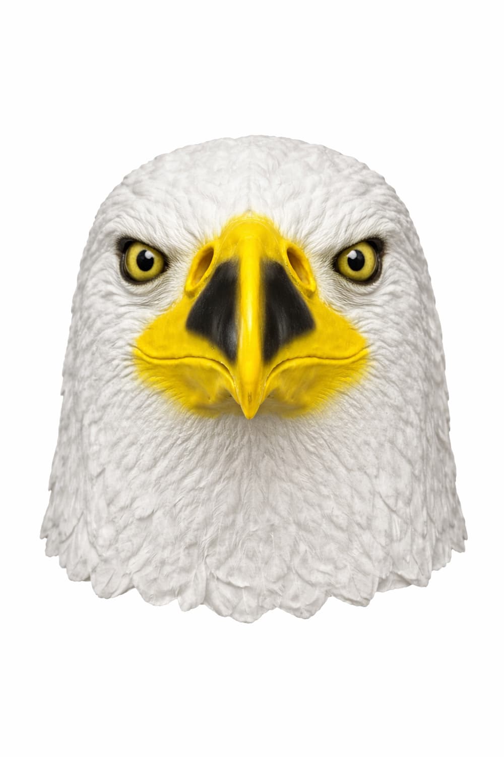 Bald Eagle Mask