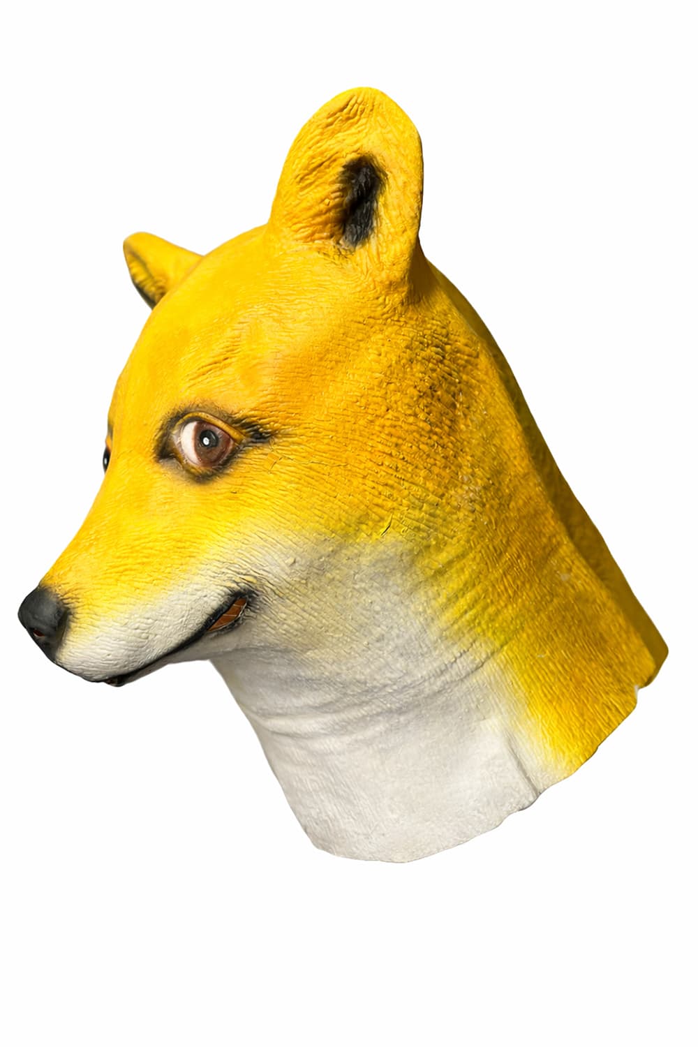 Dog Mask