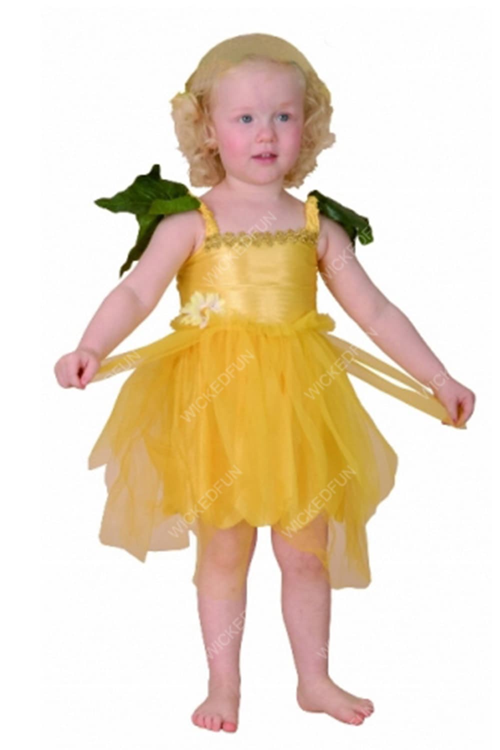 Wickedfun Flower Fairy Toddler Costume