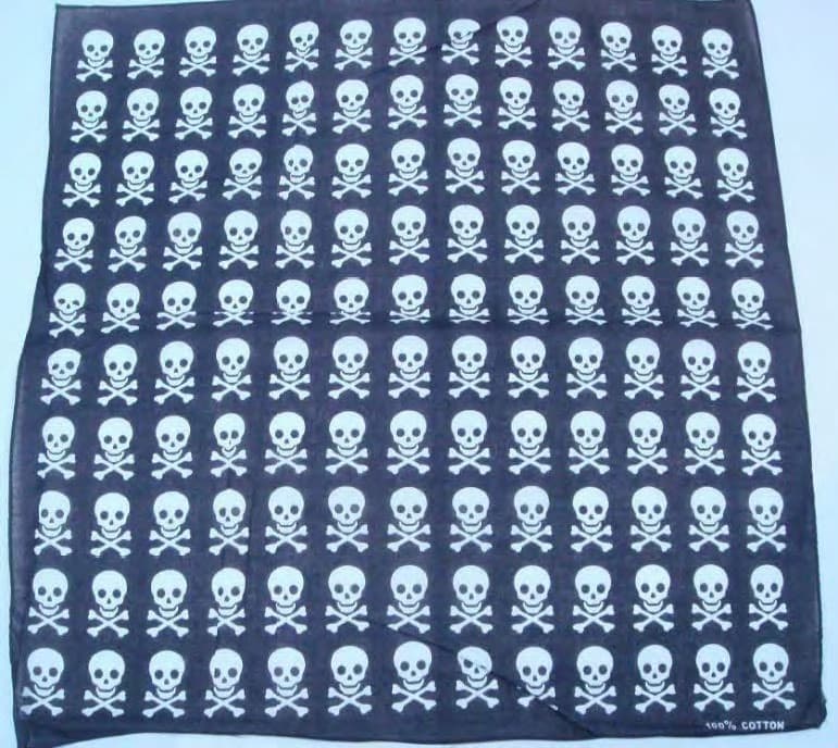 Skull and Cross Bones Bandana