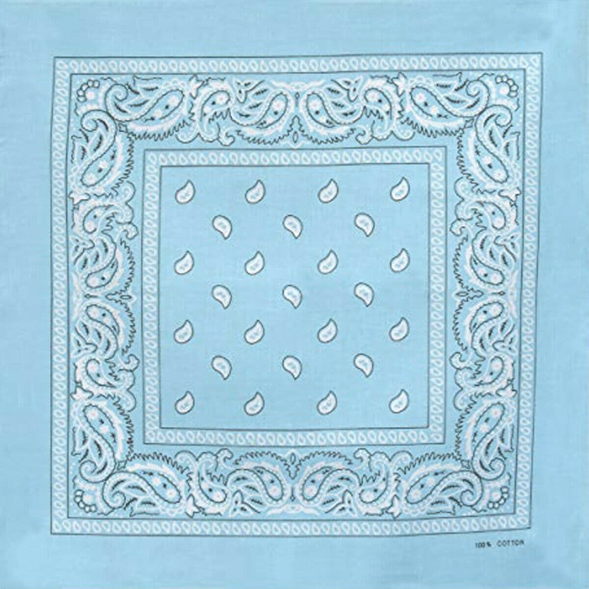 Sky Blue Paisley Bandana
