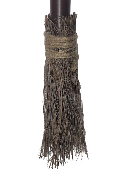 Witches Broom